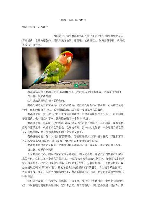 鹦鹉店铺起名大全三个字（鹦鹉店铺名称）