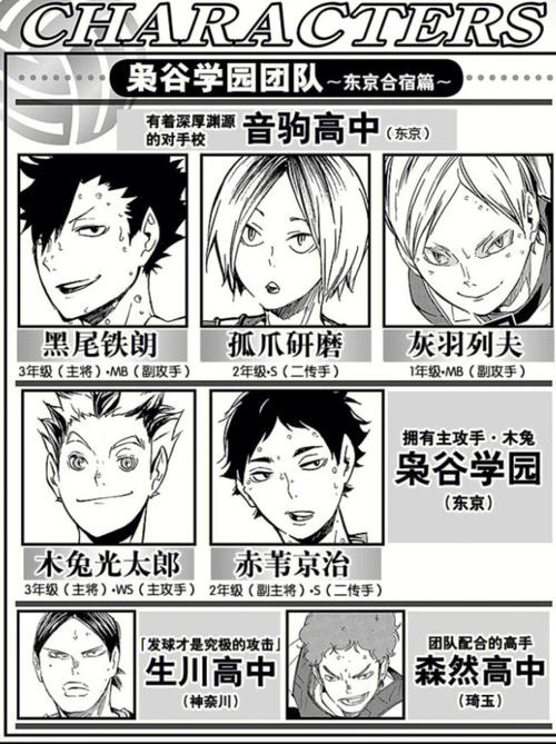 排球少年起名字大全（排球少年起名字大全男生）