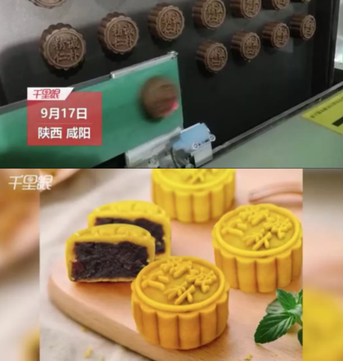 药膳月饼起名字大全（药膳月饼起名字大全三个字）