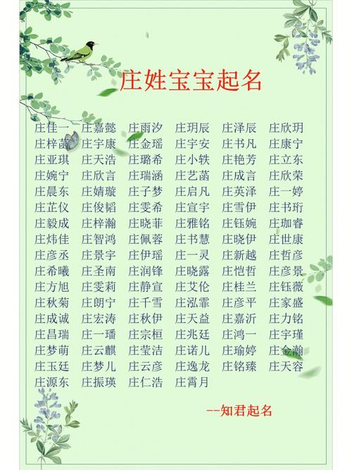 庄姓起名大全男孩名字大全（庄姓的男孩名字好听点）
