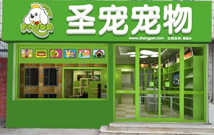 宠物网店创业公司起名字（宠物店铺起名）
