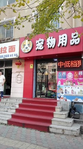 宠物用具店铺起名大全（宠物用品的店名）