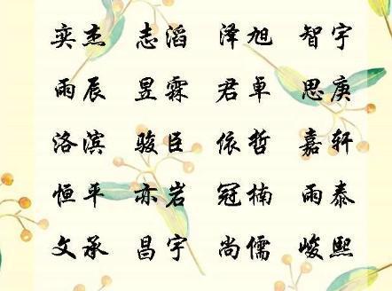 修姓给宝宝起名字（修姓男孩）
