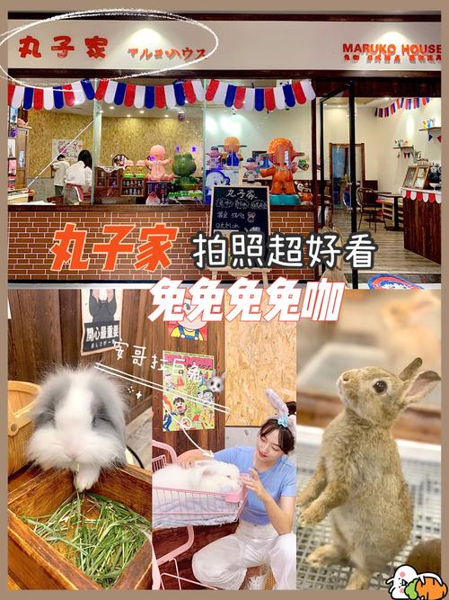 兔子店铺起名大全女（兔子店名叫什么名字）