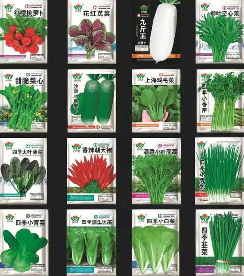 蔬菜种子公司起名字大全（蔬菜种子公司起名字大全四个字）