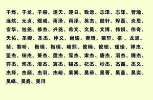 明姓男宝宝起名字（明姓男孩名字简单好听）