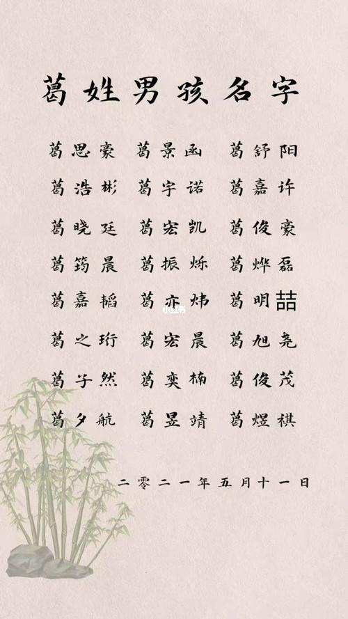 起名字葛男孩名字大全（男孩姓葛叫什么名字好）
