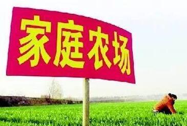 家庭农场取名字大全（家庭农场取名大全2020）