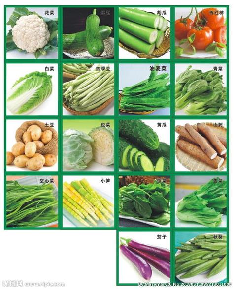 特色蔬菜起名字大全（个性蔬菜取名）