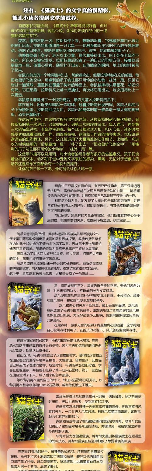 猫武士起名字大全（猫武士名字加外貌）