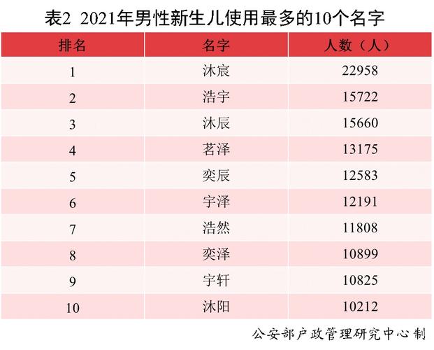 2024年新生儿取名字大全（属龙人取名最旺的字）