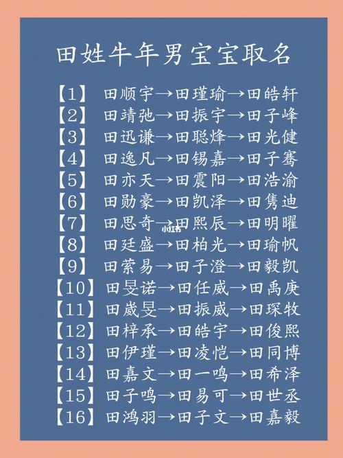 爸爸姓田宝宝起名字（姓田男宝宝名字大全）