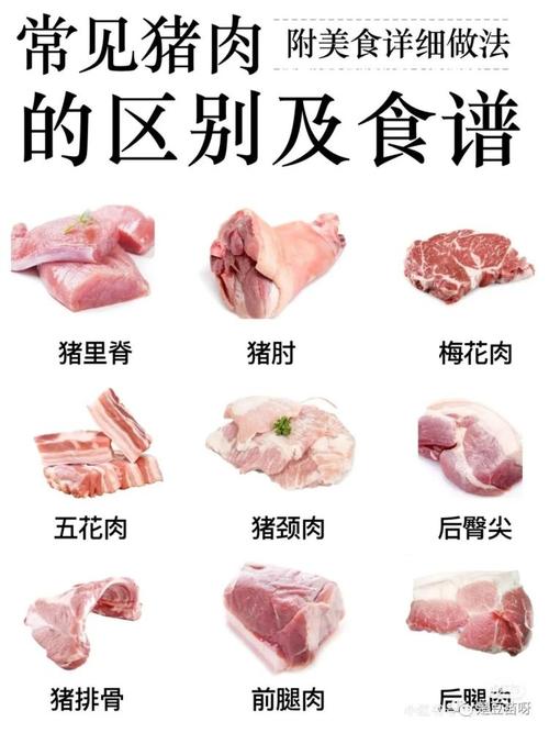 猪肉球起名字大全（给猪肉起个名字）