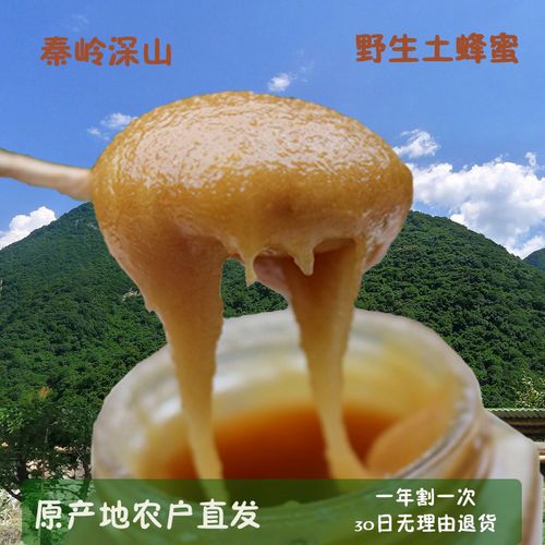 土蜂蜜起名字大全（土蜂蜜起名字大全图片）