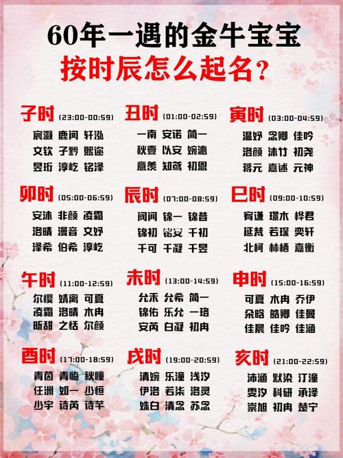 给宝宝按时辰起名字（给宝宝按时辰起名字怎么取）