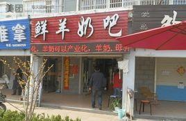 羊奶店铺起名推荐大全（卖鲜羊奶起什么名字好）