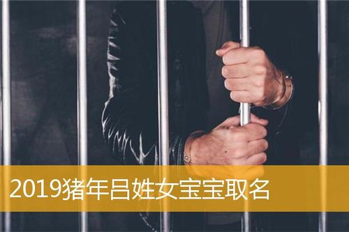 猪年宝宝起名字吕氏（吕姓猪宝宝名字大全）