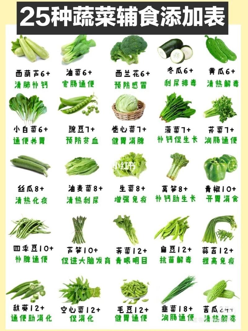 给蔬菜起名字大全（给蔬菜起名字大全女孩）