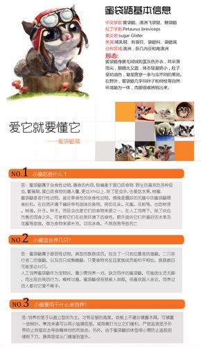 密袋鼠起名字宝宝文案（密袋鼠叫名字好）