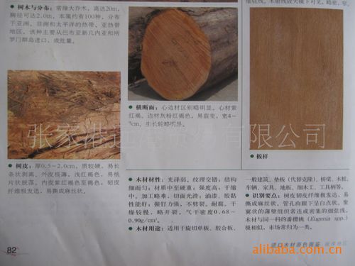 木材贸易公司起名字（木材贸易公司简介）