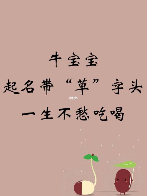 提草店铺起名大全（提草批发）