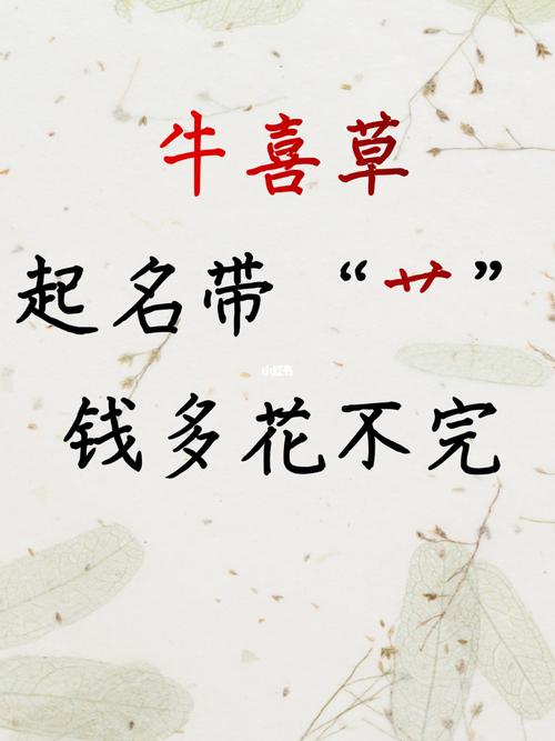 提草店铺起名大全（提草批发）