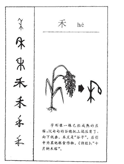 鼠年宝宝起名字带禾（属鼠小名禾禾怎么样）