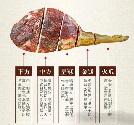 火腿店铺起名字大全女士（火腿取什么名字好）