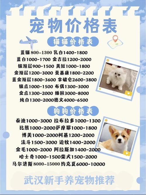一家宠物药品店铺起名大全（宠物药店加盟店排行榜）