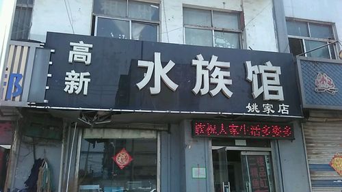 水族店起名字大全（水族店起名字大全男）