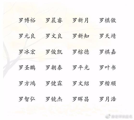 给罗姓宝宝起名字（给罗姓宝宝起名字大全）