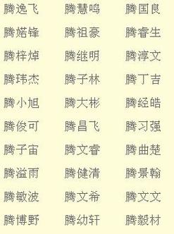 宝宝起名字男土（宝宝起名字男土字）