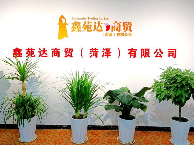 菏泽商贸公司起名字费用（菏泽商贸公司起名字费用多少钱）