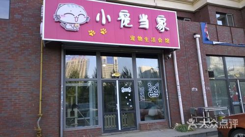 宠物店铺起名字大全可爱（宠物店起名大全2018款）