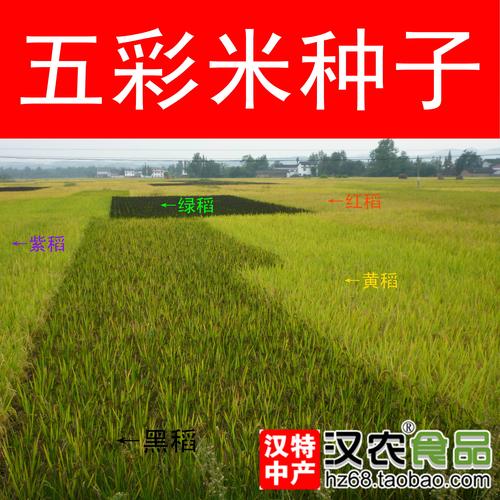 用稻谷起名字大全（以稻谷起名）