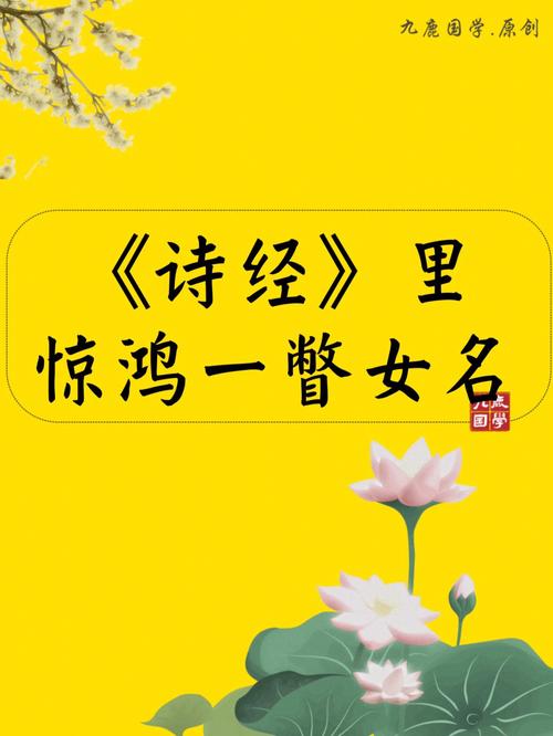 起名字女宝宝诗经（起名女孩诗经）