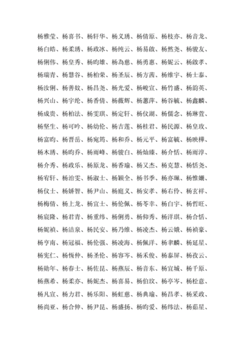 姓杨的话怎么给公司起名字（姓杨的话怎么给公司起名字好）