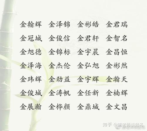 男孩起名金姓名字大全（男孩姓金的名字独特好听）