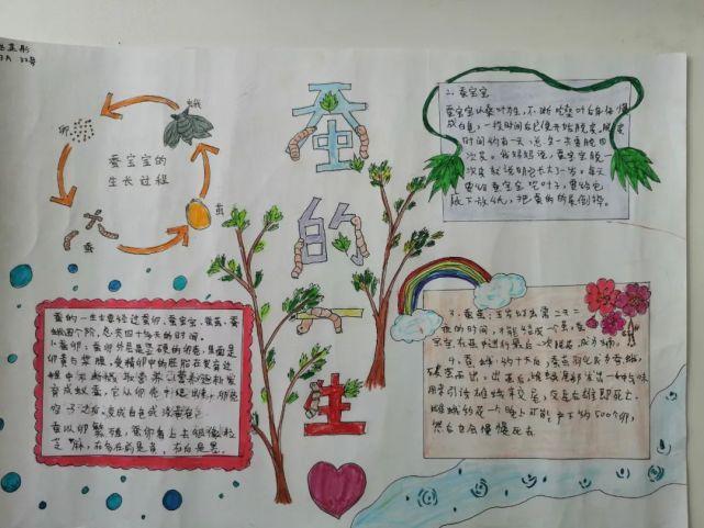 蚕宝宝论文起名字（给蚕宝宝取什么名字好听）