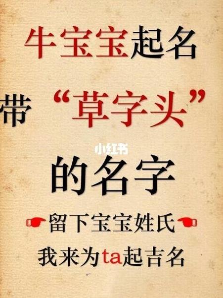 属牛宝宝能用容字起名字吗（属牛宝宝能用容字起名字吗好吗）