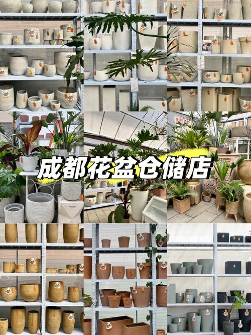 卖花盆的店铺起名字大全（适合卖花盆的店名）