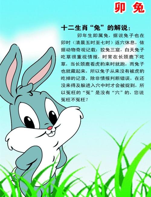 属兔人纹绣店铺起名大全（属兔人适合纹什么图案?）