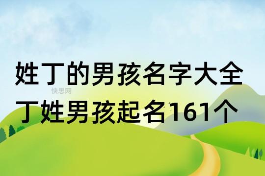 丁字起名字大全男孩2字（丁取名字大全集男孩）