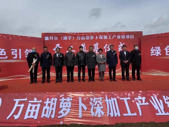 胡萝卜加工储存公司起名字（胡萝卜深加工龙头企业）