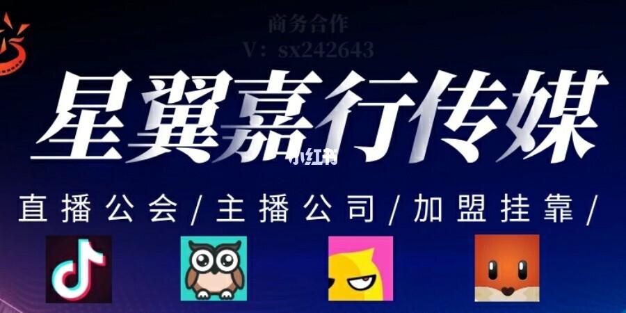 开直播公司咋起名字好听（直播公司怎么起名字）