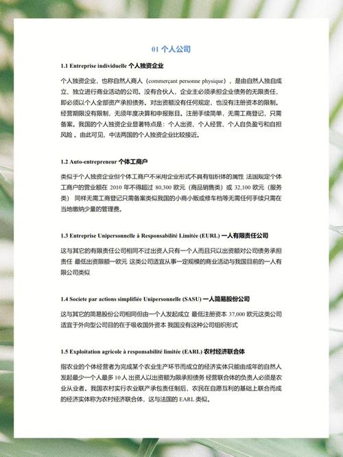 法文翻译公司起名字有寓意（法文翻译成英文）