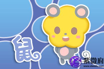 狗年属鼠的宝宝起名字宜忌（鼠年狗好不好）