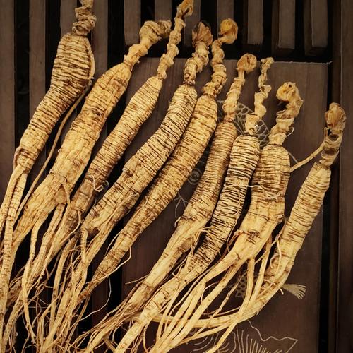 人参特产类店铺起名大全（人参品牌起什么名比较好）