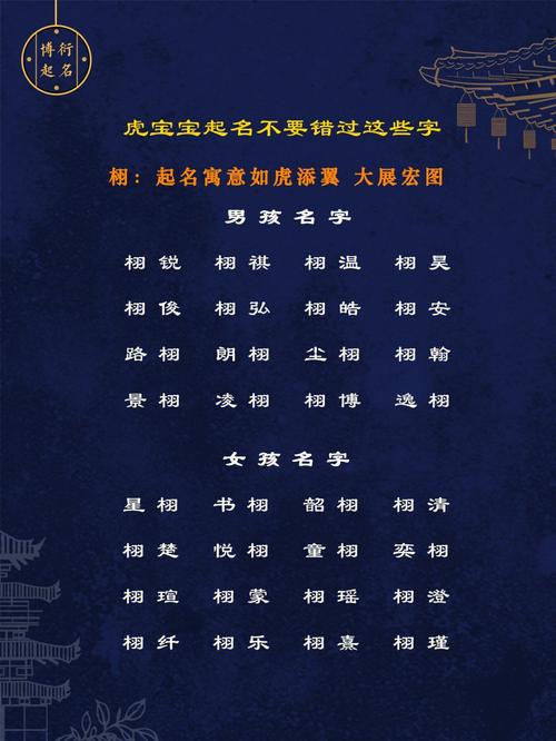 虎宝宝衣着华丽起名字（虎宝宝大气名字）