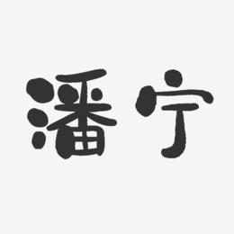 宁字取名公司起名字好吗（带宁字的公司）